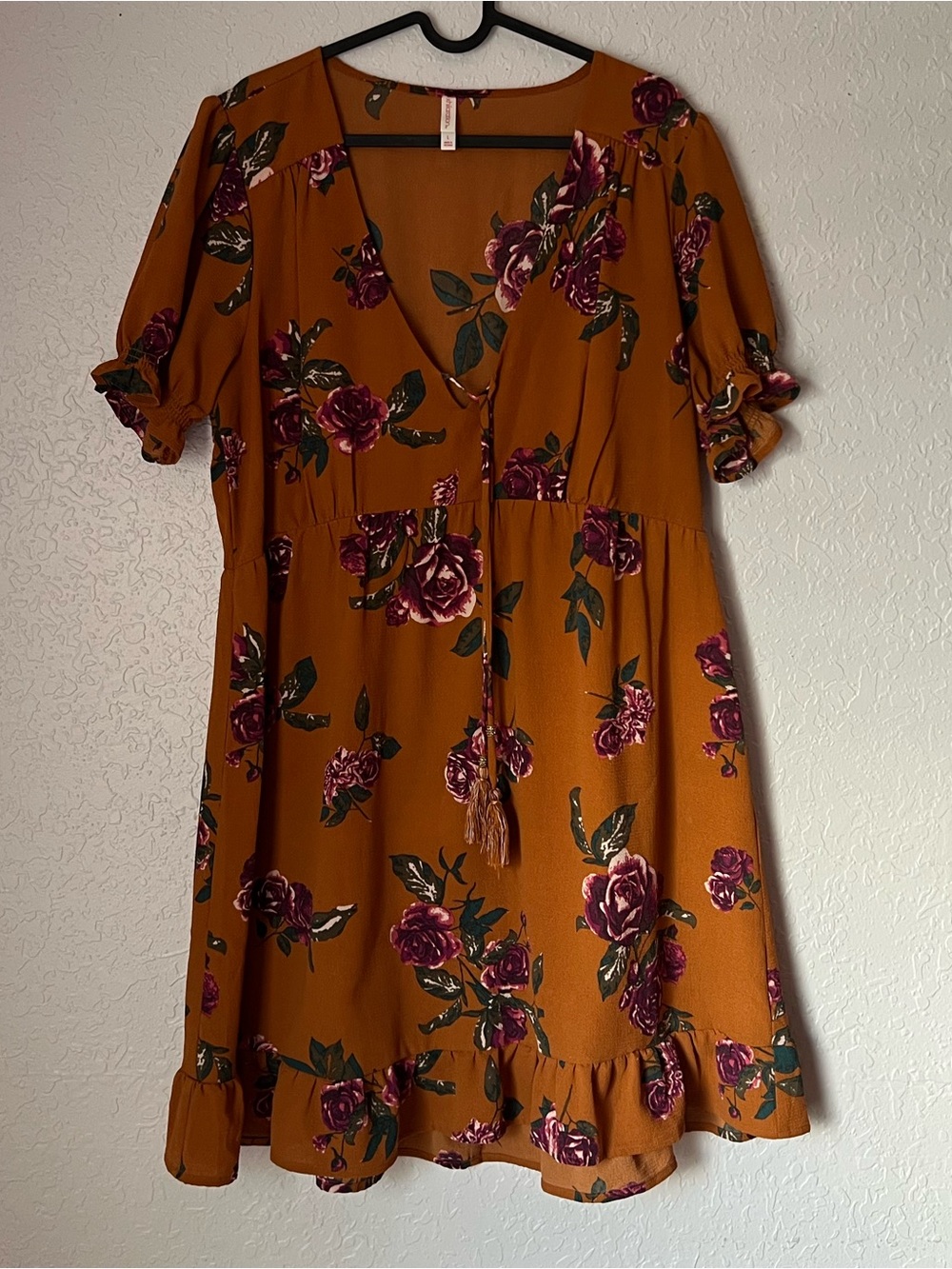 Target Rust Floral Mini Dress with Burgundy Roses